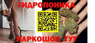 гидропоника Дубна
