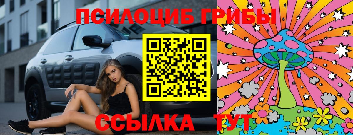 Псилоцибиновые грибы Psilocybe  где купить наркоту  Люберцы  Вход с VPN 